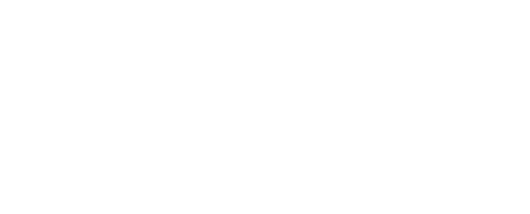 STEGERIT_logo_white